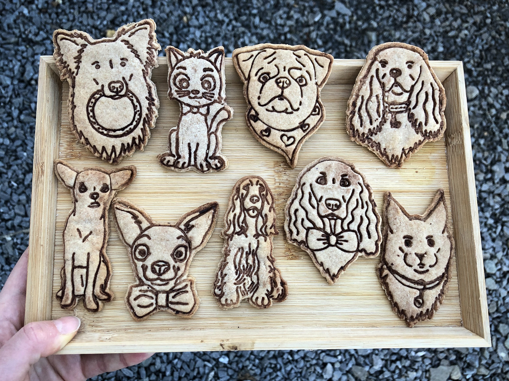 PSÍ RASY - TVOŘÍTKO